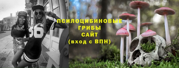 молекула духа Алзамай