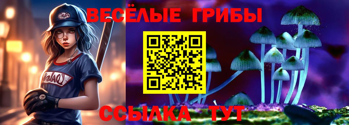 Псилоцибиновые грибы мухоморы  Вход с VPN  продажа наркотиков  Псков 